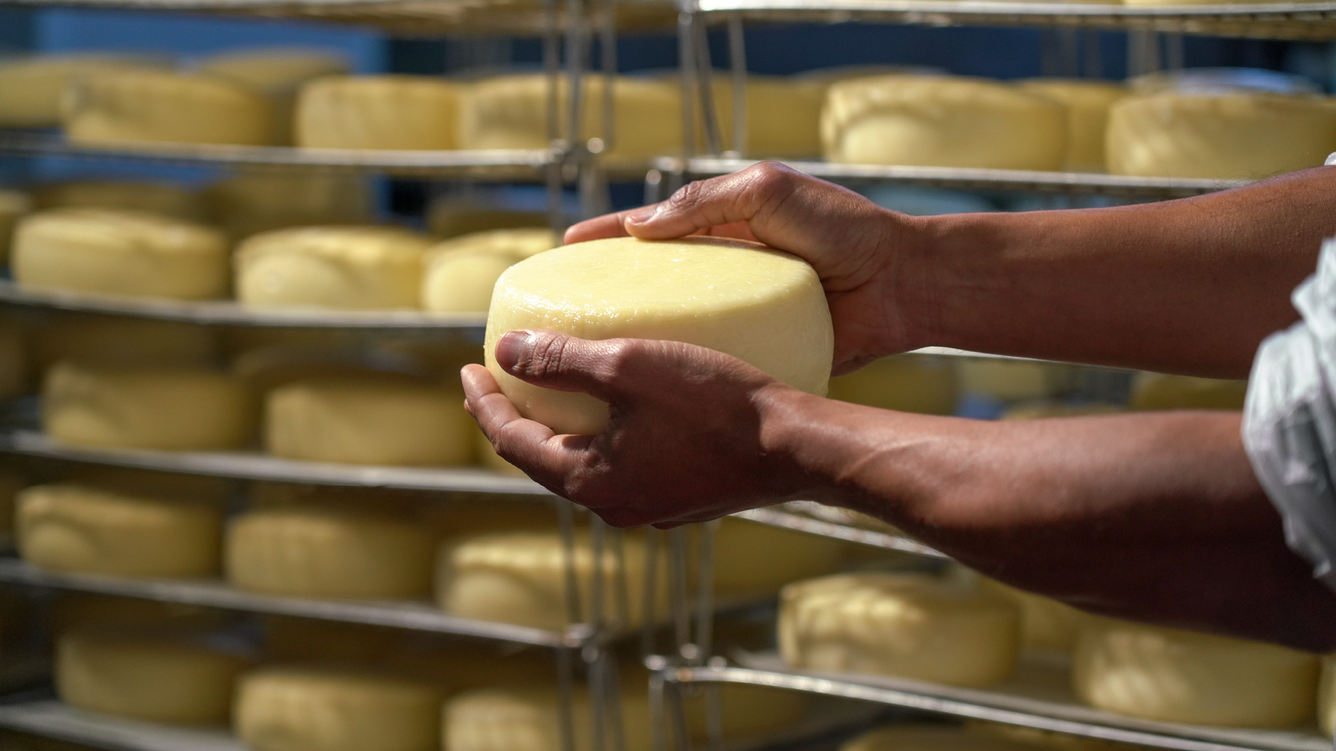 Queijo